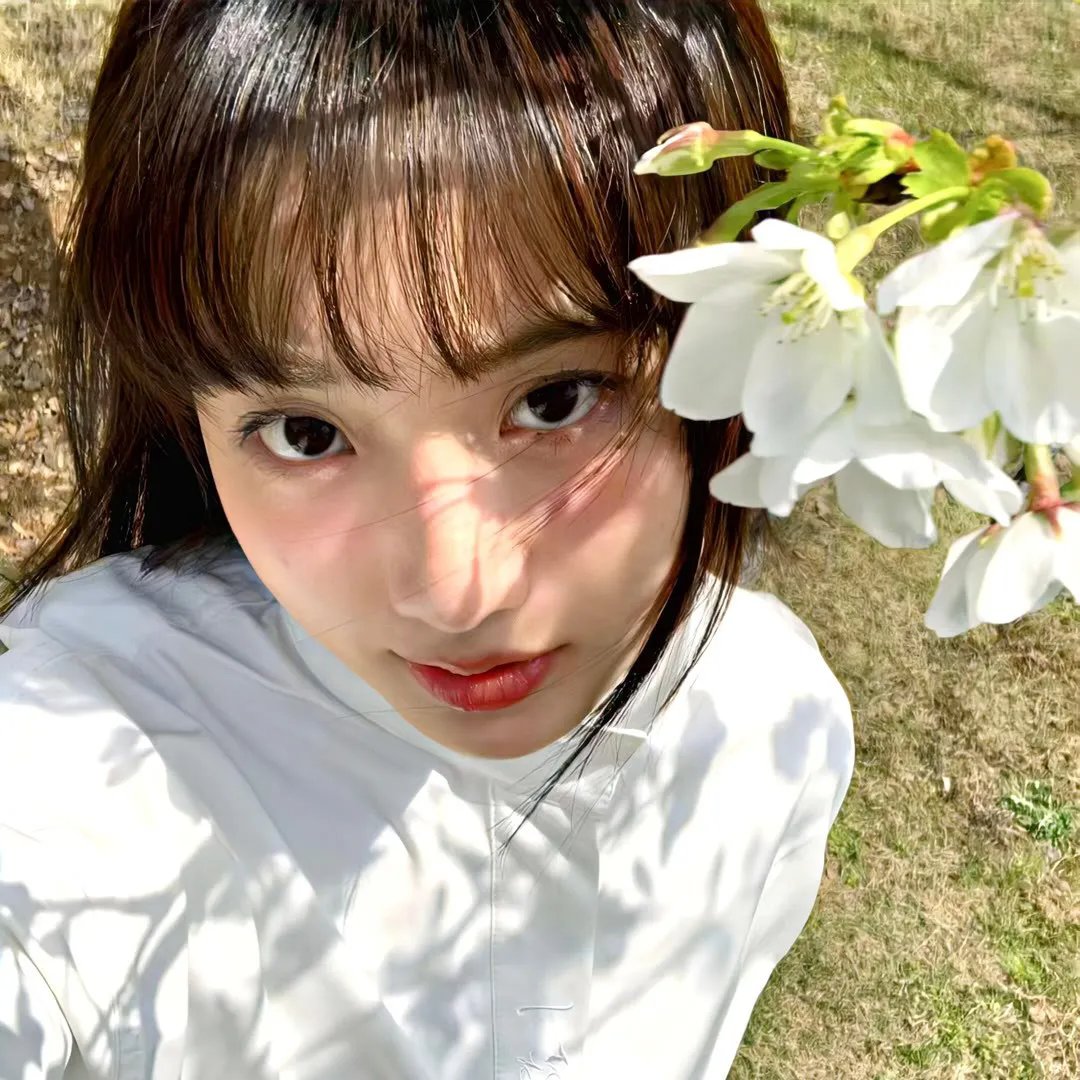 翡翠窝大阴谋